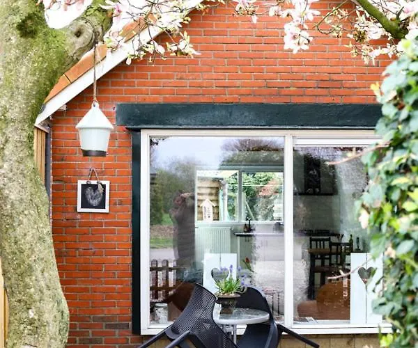 Sasa بيت ضيافة